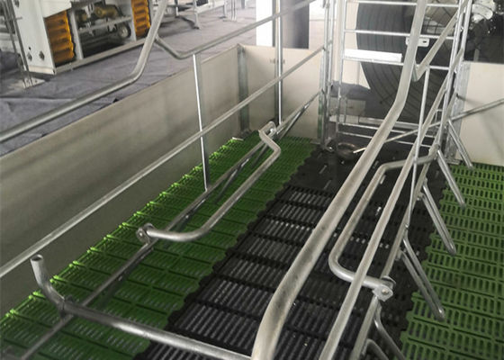 गुणवत्ता  Fabricated Prefab Steel Structure Pig House Galvanised Industrial फैक्टरी