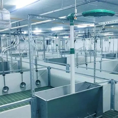 लाइटवेट स्टील स्ट्रक्चर पिग हाउस जस्तीकृत प्रीफैब कृषि भवन