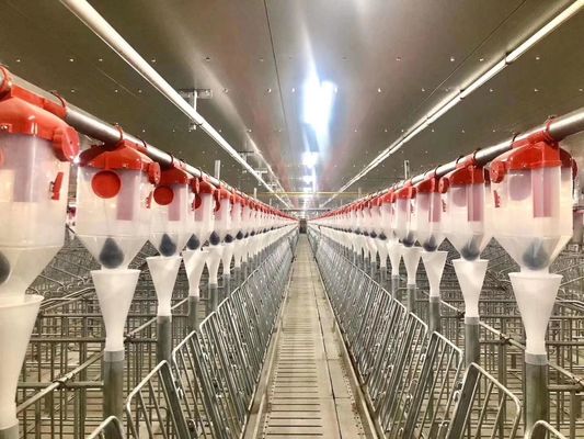 विंडप्रूफ स्टील स्ट्रक्चर पिग हाउस पोर्टल पूर्वनिर्मित स्टील फ्रेम ISO9001