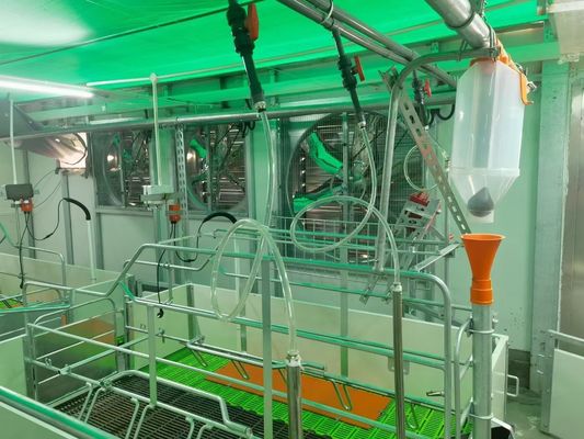 विंडप्रूफ स्टील स्ट्रक्चर पिग हाउस पोर्टल पूर्वनिर्मित स्टील फ्रेम ISO9001