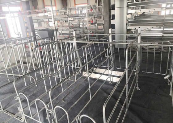 फैब्रिकेटेड प्रीफैब स्टील स्ट्रक्चर पिग हाउस जस्तीकृत औद्योगिक