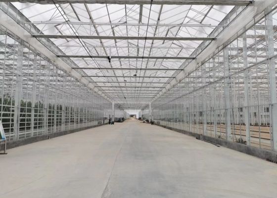 बड़े सजावटी फूलों के लिए ग्रीन प्लांट गार्डन टेम्पर्ड ग्लास ग्रीनहाउस