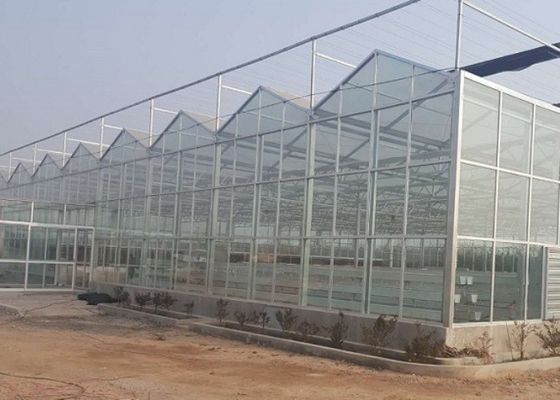 हाई ग्रेड गैल्वनाइज्ड पाइप ग्रीनहाउस ग्लास कवरिंग कमर्शियल