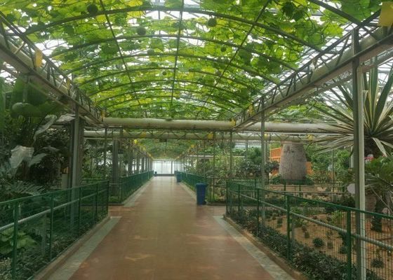 हाई ग्रेड वेनलो ग्लास ग्रीनहाउस गैल्वेनाइज्ड पाइप कमर्शियल