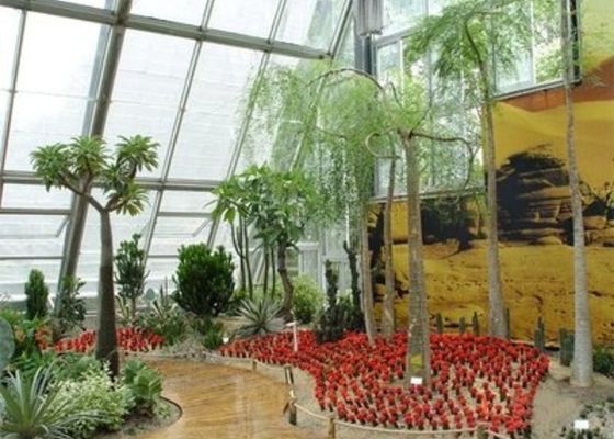 विंटर गार्डन सनलाइट रूम छोटा स्टील वेनलो ग्लास ग्रीनहाउस रखा हुआ