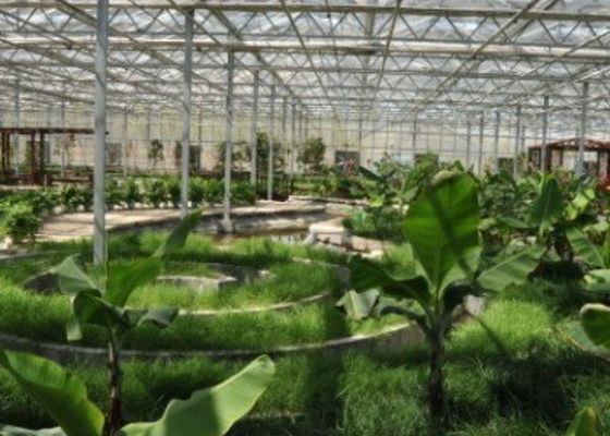 गैल्वेनाइज्ड पाइप साइटसीइंग ग्रीनहाउस रेस्तरां कस्टम आकार 4600㎡