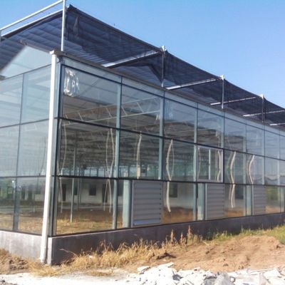 उच्च उपज वाली सब्जियों का ग्लास रोपाई ग्रीनहाउस टमाटर / खीरे के लिए
