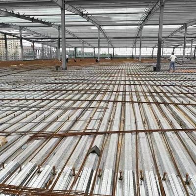 वेयरहाउस वर्कशॉप बिल्डिंग स्टोरेज के लिए Q355B स्टील संरचना