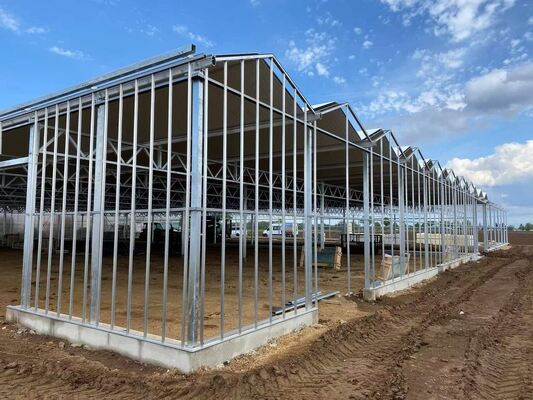 वेनलुओ दर्शनीय ग्लास ग्रीनहाउस - बड़े पैमाने पर सब्जी रोपण ग्रीनहाउस