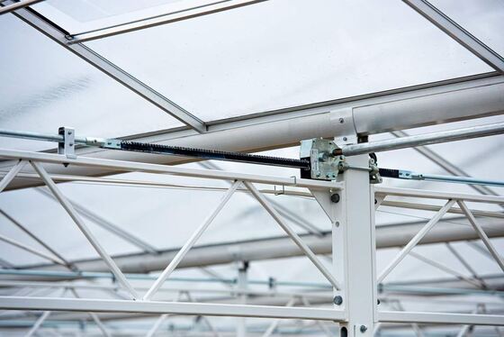 कृषि रोपण का उपयोग, वानूओ दर्शनीय स्थल का ग्लास ग्रीनहाउस