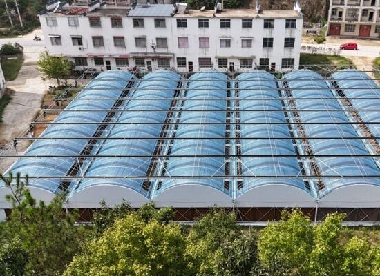 सब्जियों की उपज बढ़ाने और सब्जियों की पकने की प्रक्रिया में तेजी लाने के लिए उपयोग किया जाने वाला एक निरंतर स्पैन पॉलीएथिलीन फिल्म ग्रीनहाउस