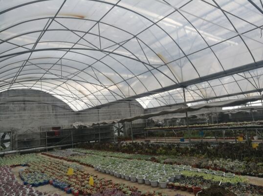 सब्जियों की उपज बढ़ाने और सब्जियों की पकने की प्रक्रिया में तेजी लाने के लिए उपयोग किया जाने वाला एक निरंतर स्पैन पॉलीएथिलीन फिल्म ग्रीनहाउस