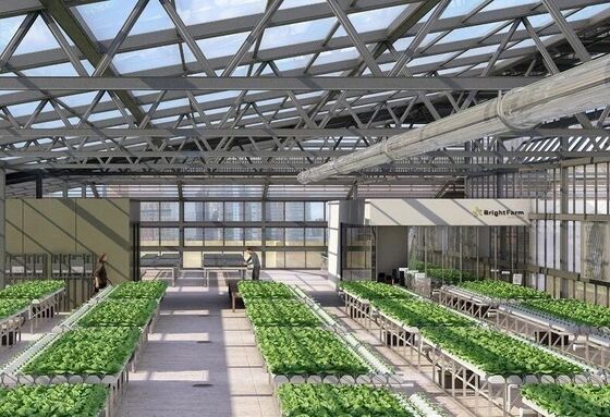 वेनलू पर्यटक ग्लास ग्रीनहाउस - बड़े पैमाने पर फल रोपण ग्रीनहाउस