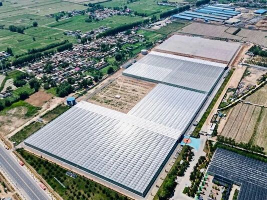 फल की खेती के लिए ग्रीनहाउस, बड़े वूनलूस दर्शनीय स्थलों के लिए ग्लास ग्रीनहाउस